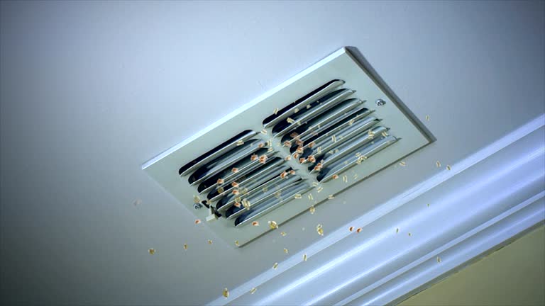 Best Commercial Air Duct Cleaning  in Cataula, GA